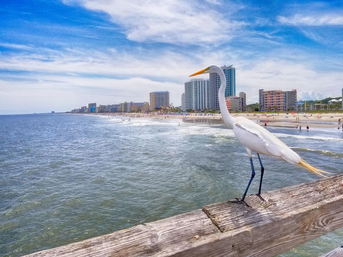 New Amazing Corneramazing Views Honeymoon Suite! Myrtle Beach Extérieur photo